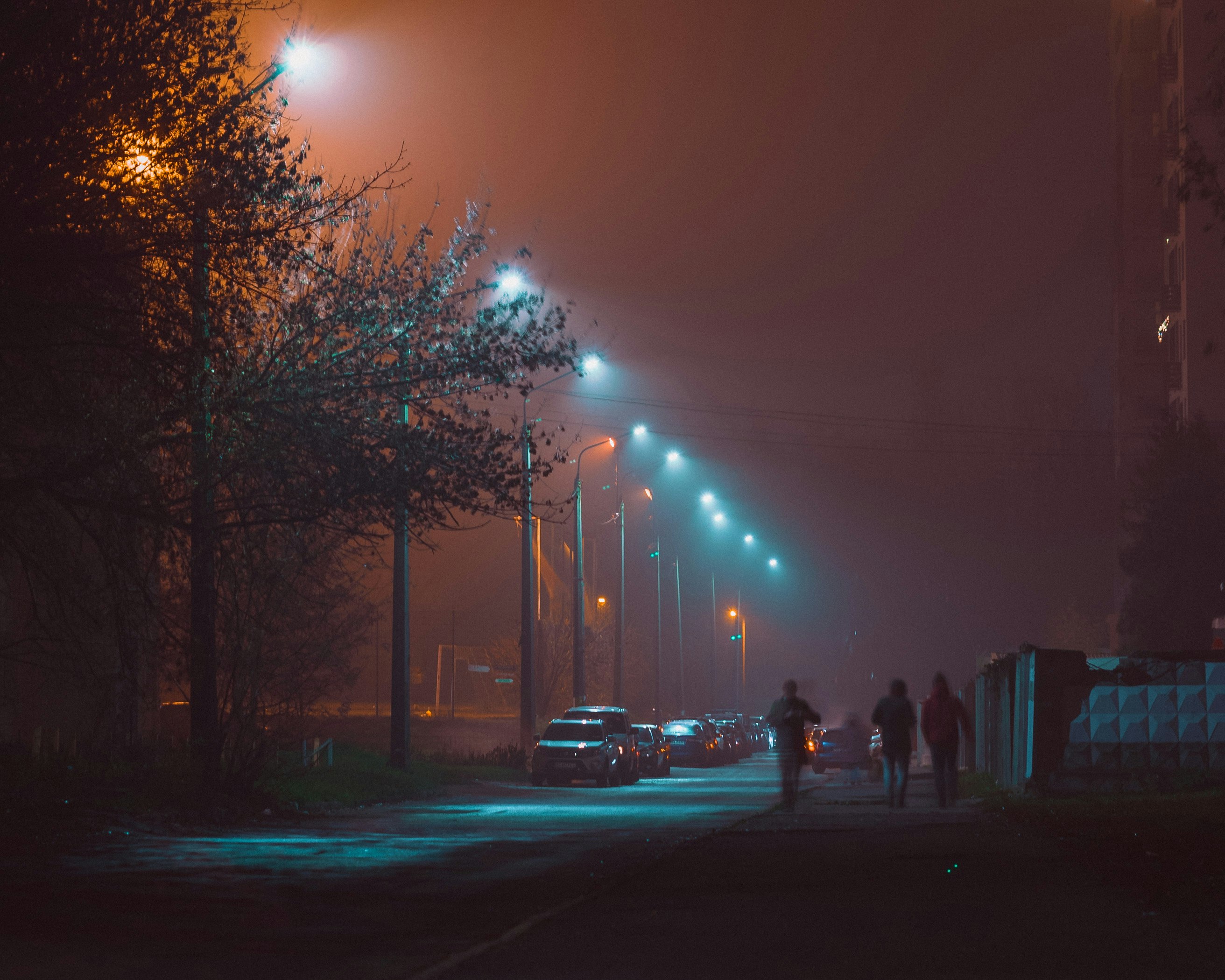 people walking on street during night time